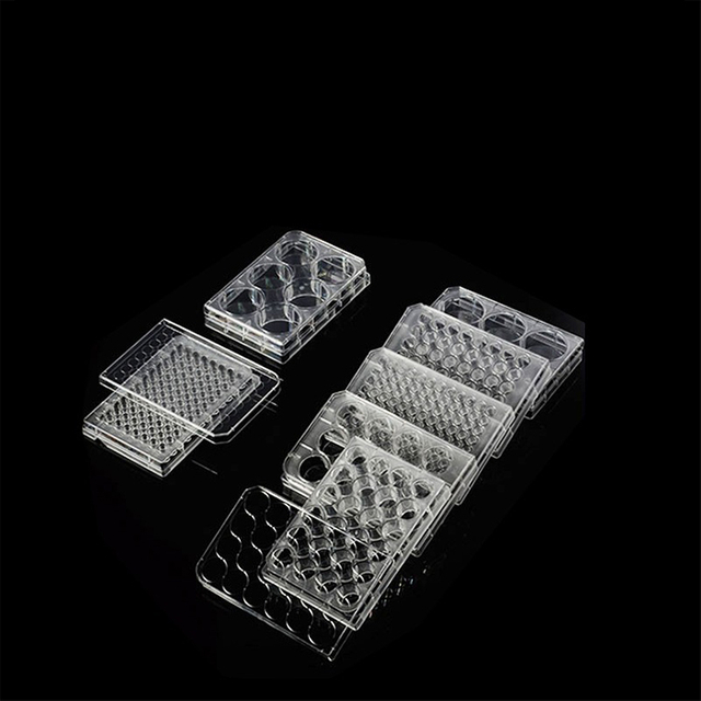 Cell Culture Plate(6 12 24 48 96 Wells)