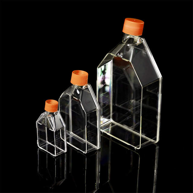 Cell Culture Flask T25